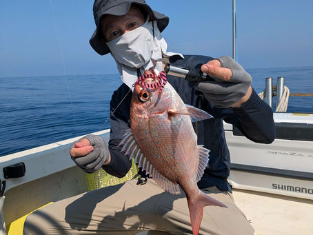 本日の本命マダイ🎵