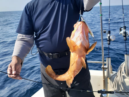 ラストポイント☝️