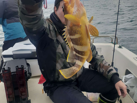 強襲続きからの~