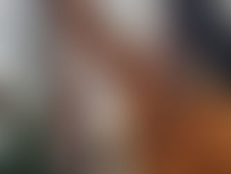 続いては……‼️