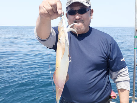 これまた美味しそ~🎵