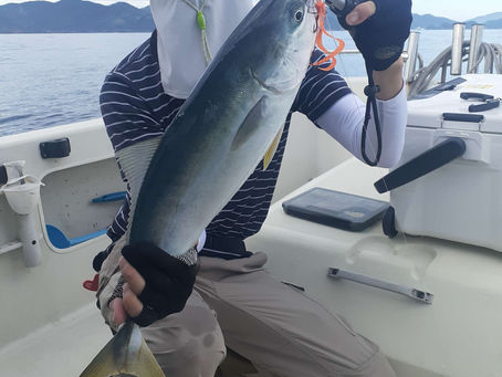 台風の後だけど…