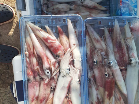 今日は夜遊び🎵