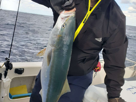 かなりヤバイ強風&高波でしたが💦