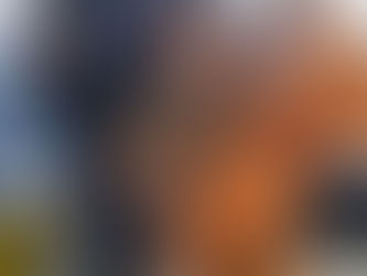 今日半日、しかも風強し…