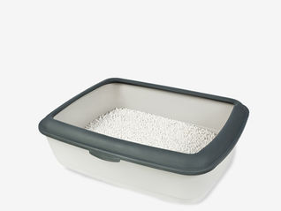 Comportement félin: astuces de pro pour un chat serein