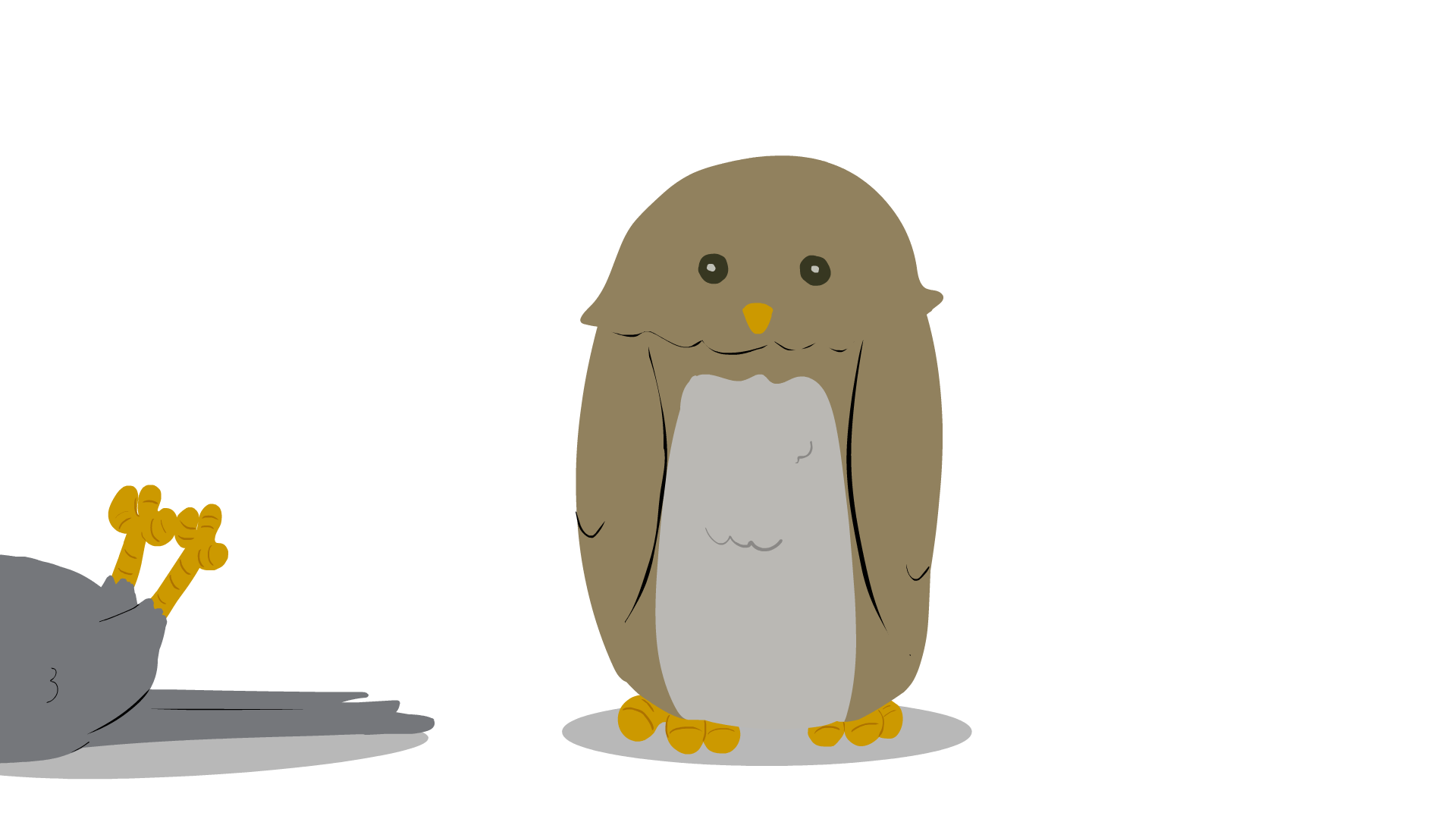 owl.gif