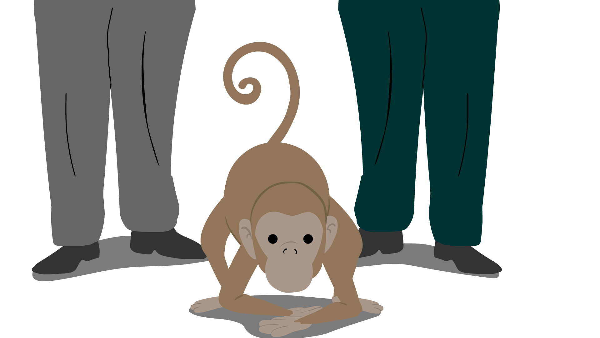 animal_job2.gif