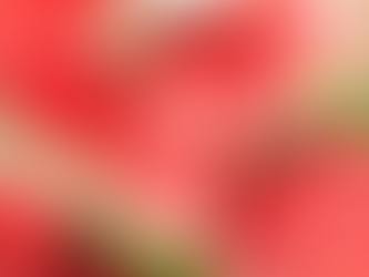 National Watermelon Day