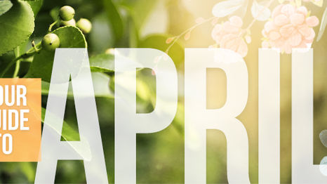 Your Guide to April