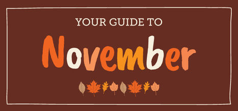 Your Guide to November