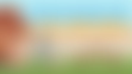 Fix Up Your Home for Fall