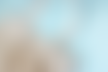 It’s Time to Break Free … from Plastic Bags 