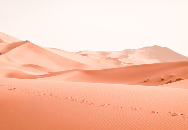 Desert