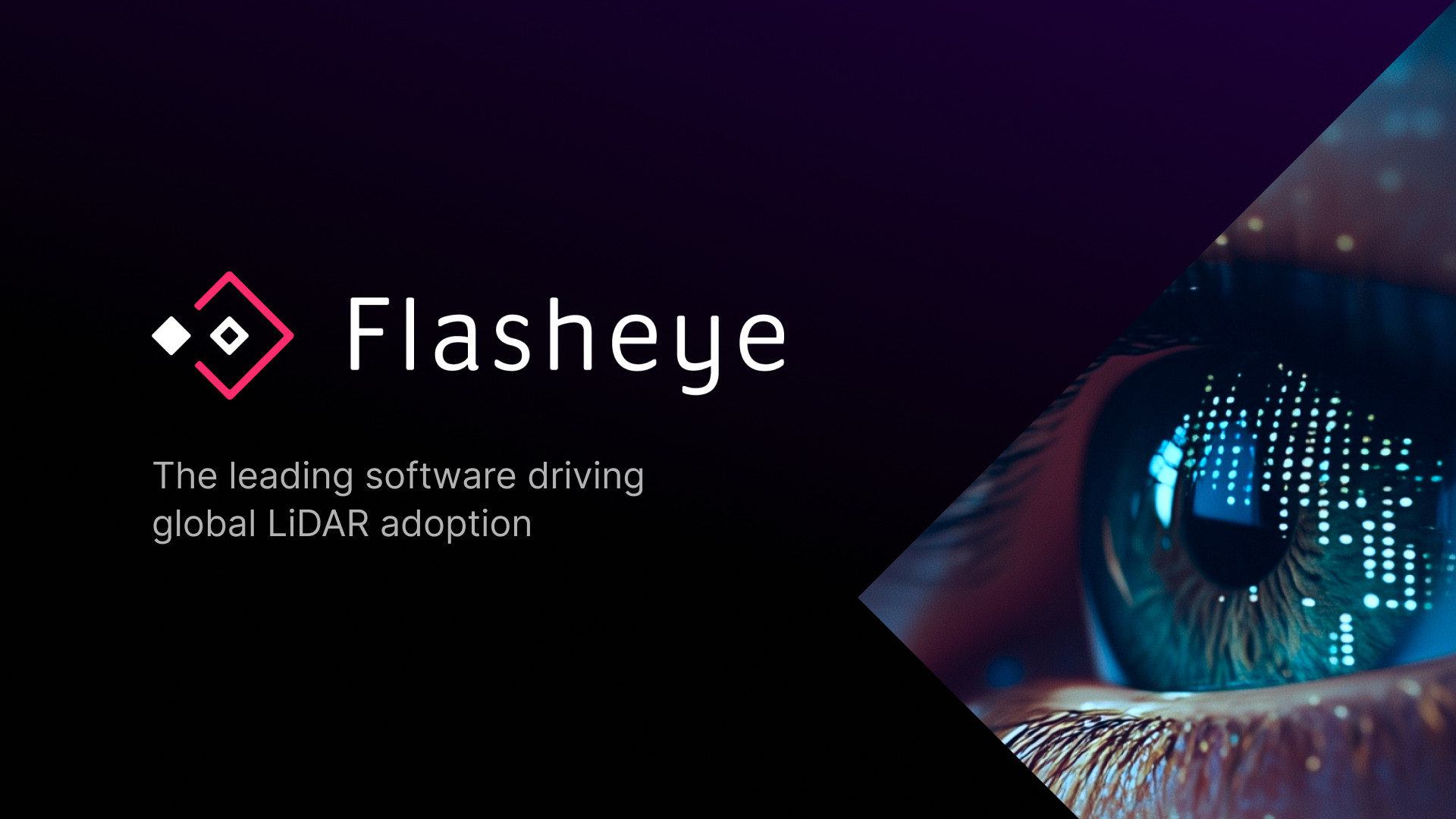 Flasheye - Leading software for LIDAR data interpretation