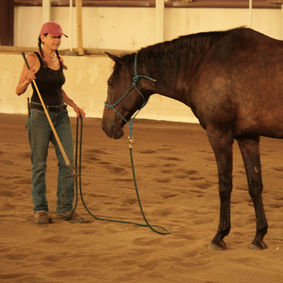 No argument_edited.jpg