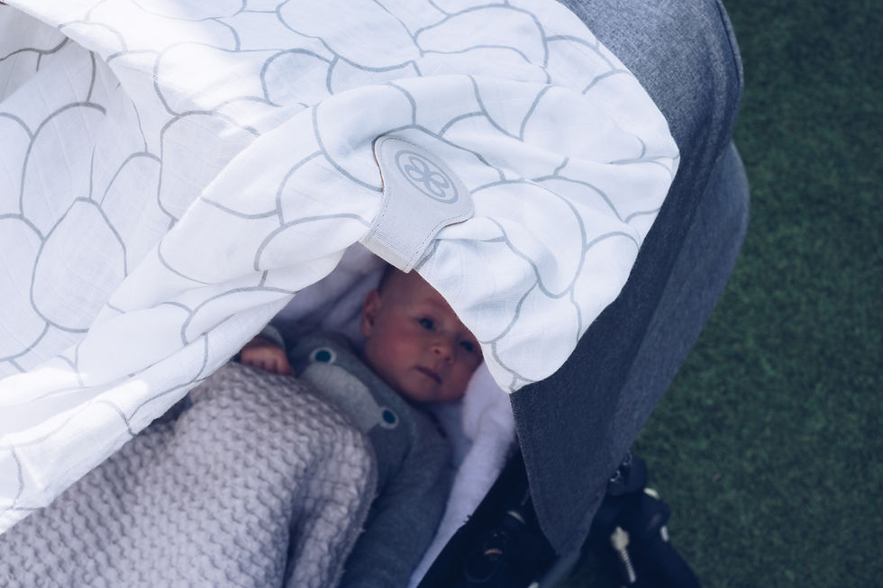 Miniaturbild: Magnet Clip - Braunes Leder