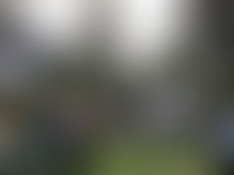 Reunión Científica de Clausura 2019 SOEMAF