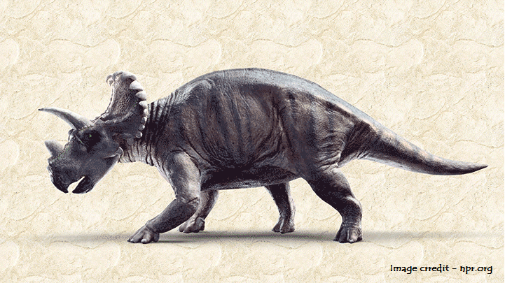 Oldest Horned Dinosaur