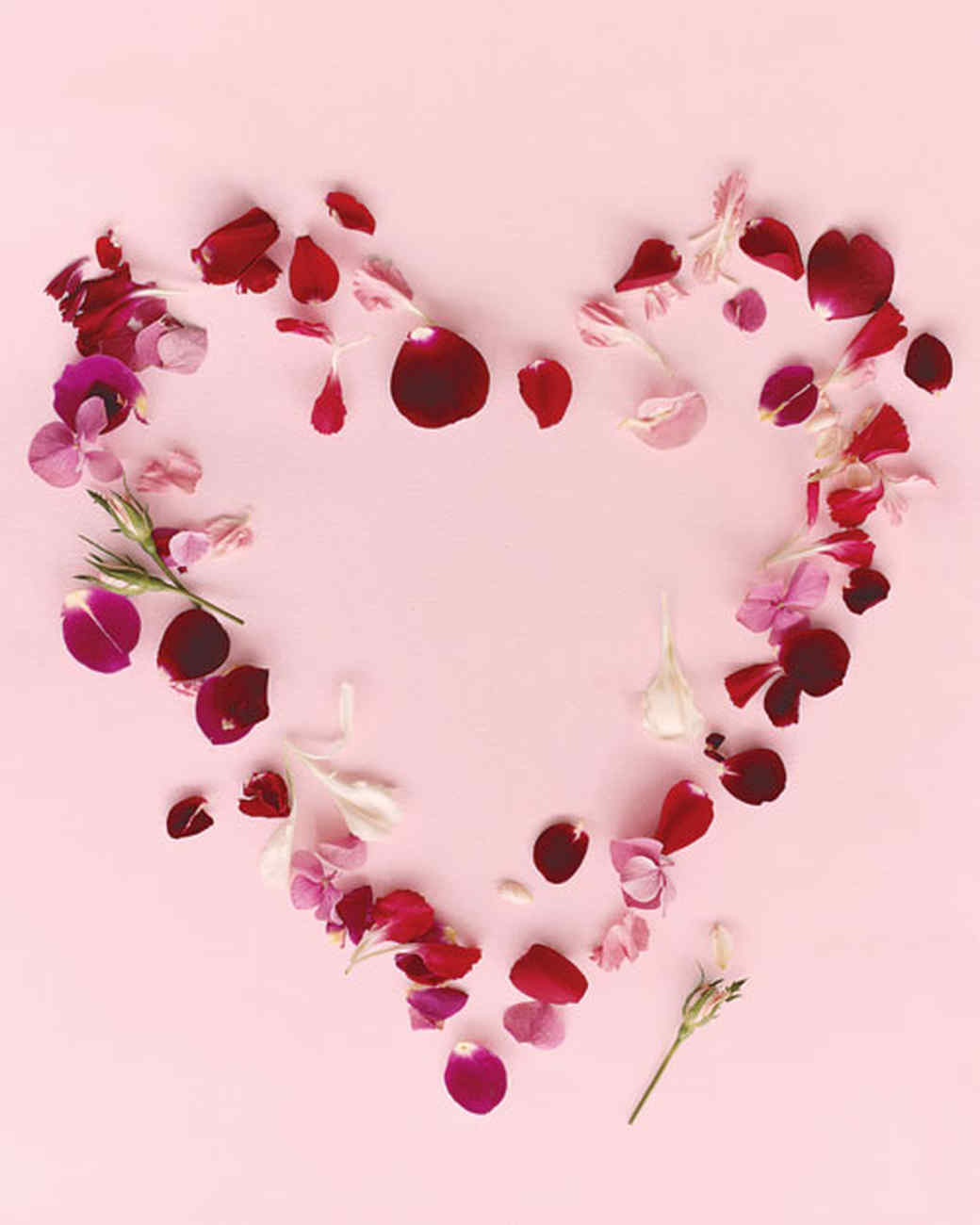 Scattered Petals