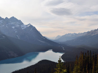 The Moment We Wake From the Wilderness