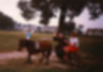 Dr Road Bell riding in a carriage pulled by horses