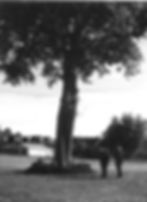 A picture of Rod Bell and Ian Paisley standing under an oak tree