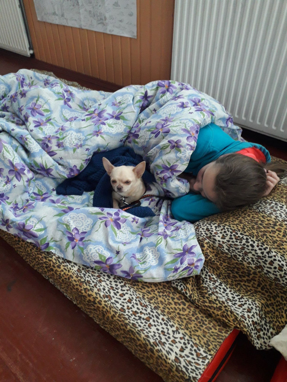 зображення_viber_2022-03-01_15-36-05-134 (1).jpeg