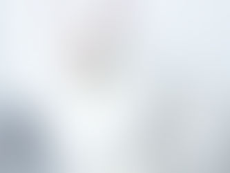 Silver shaded Maine Coon with soft blended coat and minimal pattern