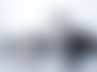 Getting ready for your Marwood Maine Coon