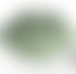 State Investments: Higher Returns vs. Other Benefits