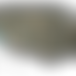 THE BLACK WEALTH DATA CENTER