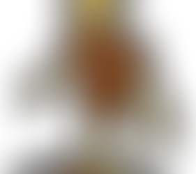 The TEN BIG LIES of State and Local Government