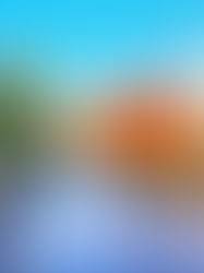 “IF YOU HAVEN’T SEEN IT, IT’S NEW TO YOU”