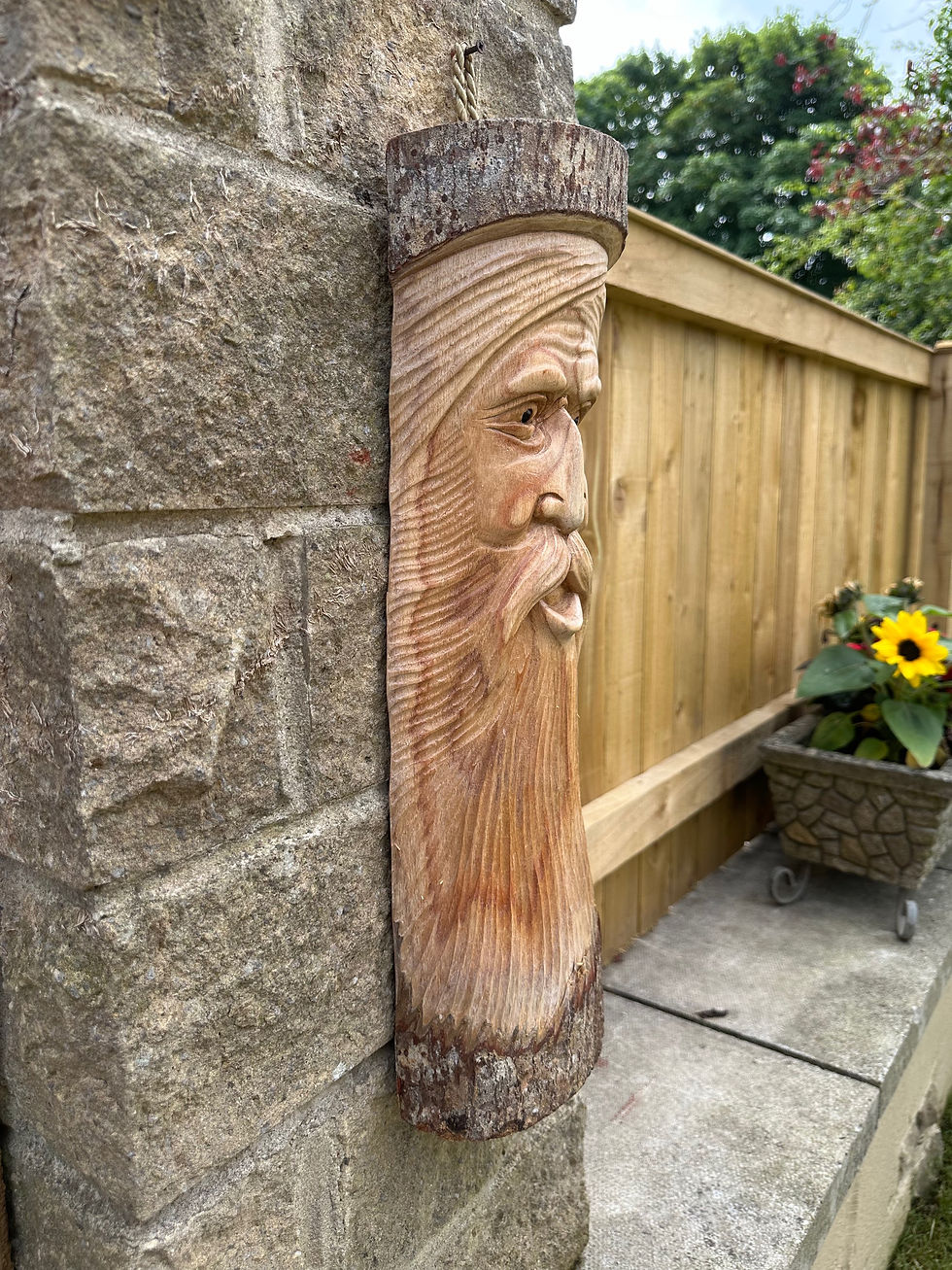 Thumbnail: Forrest Man 50cm