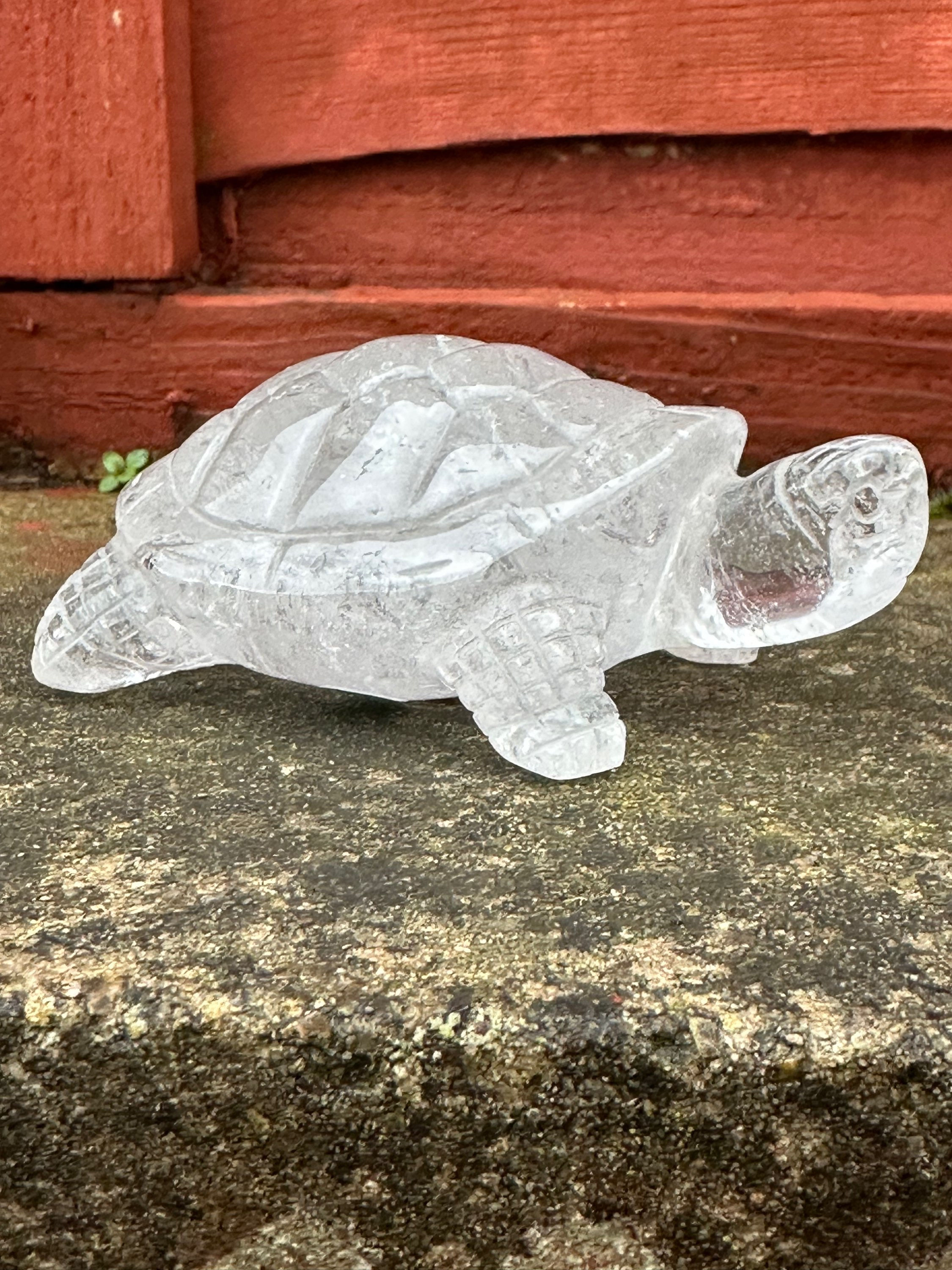 Clear Quartz Turtle