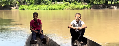 Captura de pantalla 2026-02-01 114646.png