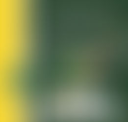 Colby Caldwell - 100 ODSC Cricket Games