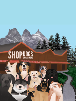 Shop dogs of Canmore