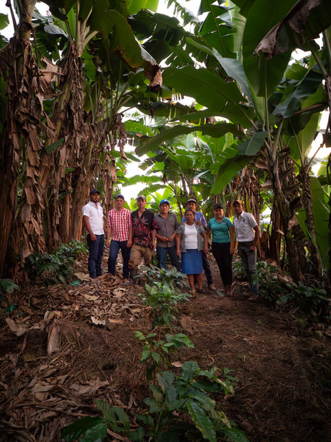Alvaro Santiago Centenoy y Amalia del Carmen Merlo Ramirez_San jose_Nov 2023P1055663-Enhanced-NR-4