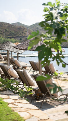 bördübet sahil_edited.jpg