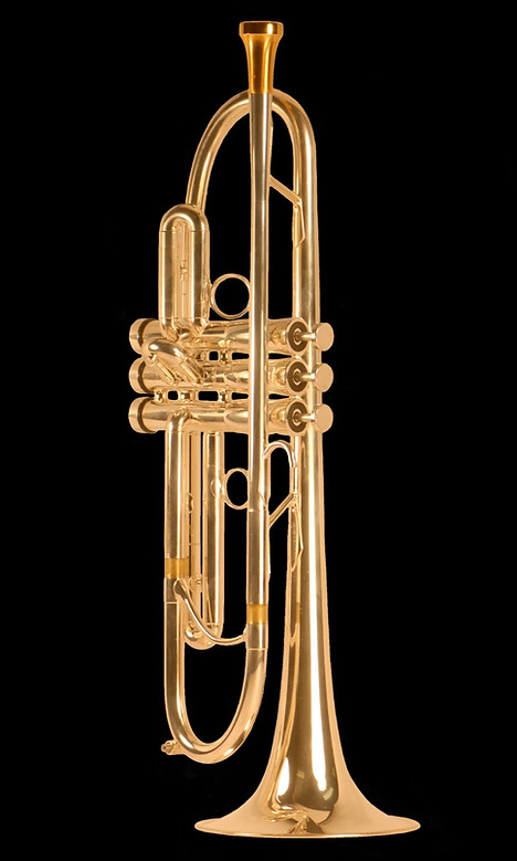 RAJA LT - SIlver