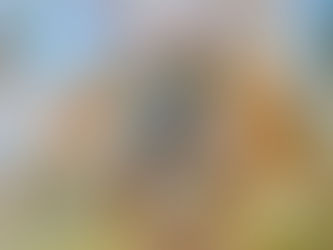 Ruta de los belenes de Soria