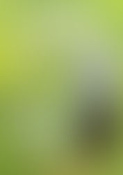 Astorga | FEBRERO DE ESPERANZA