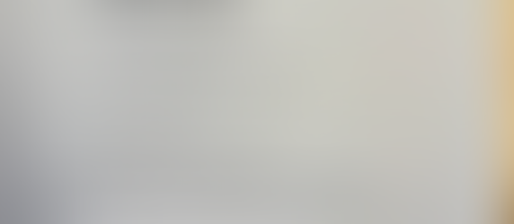 4th Grade Language Arts