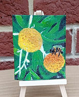 Bee2 yellowflower small.jpg