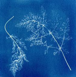 TURN BLUE Helen Turnbull 10 - Copy