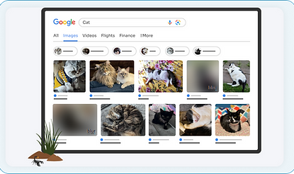 Frame 2147234455 (3).png