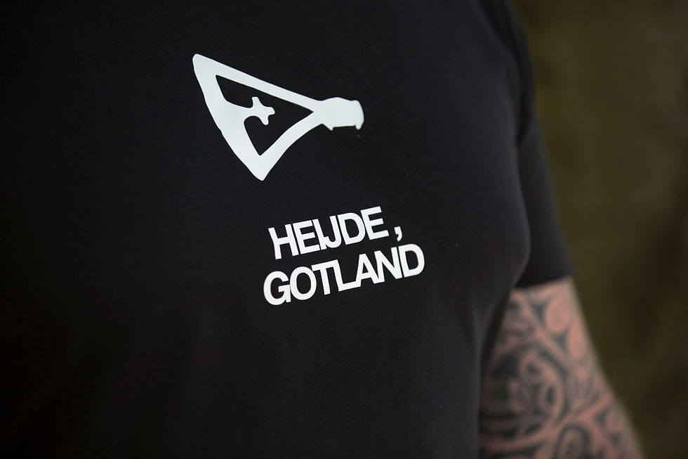 Miniaturbild: HEJDE - T-Shirt schwarz