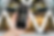 banner.png